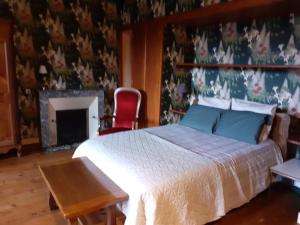 chambre spacieuse dans maison bourgeoise
