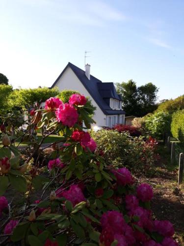 Séjour chez l'habitant Chambre sympa belle propriété 19 Rue la Vallée Verte 29850 Gouesnou Bretagne