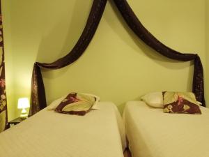Chambre verte dans une très belle demeure du 16ème à Saumur comprenant cuisine équipée