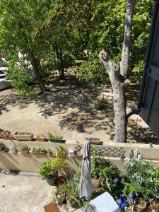 Chambre vue sur La Sorgue