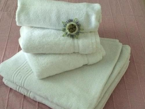 Chambres Les Passiflores