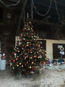 Séjour chez l'habitant Chambres meublées chez Loulou et Caramel 4 rue de l'eglise 68510 Magstatt-le-Bas Alsace