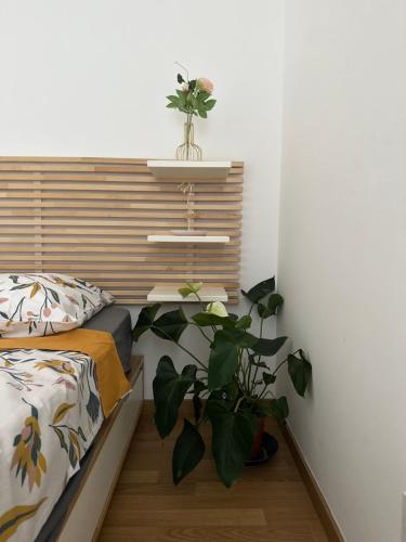 Charmante suite privée à 13mn de la Défense