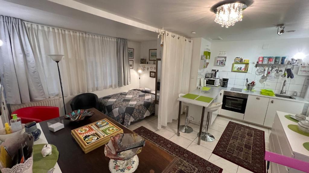 Chez Isa, espace prive, 1ou 2 chambres, terrasse et jardin, entrée autonome 63122 Ceyrat