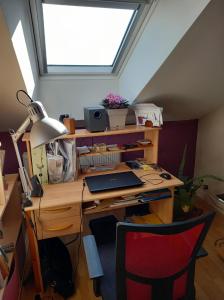 Séjour chez l'habitant Chez Kiki 23 Rue Amand Colle 88000 Épinal Lorraine