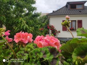 Colmar , Séjour calme chez l'habitant