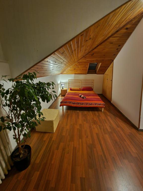 Comfortable room on the border 75 Avenue de Bâle, 68300 Saint-Louis