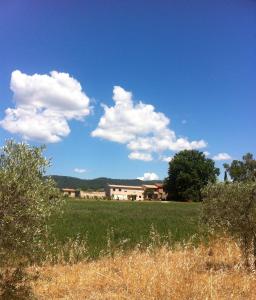 Séjour chez l'habitant Domaine De Camp Joyeux 1708, route de Pierrefeu 83390 Puget-Ville Provence-Alpes-Côte d\'Azur