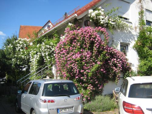 Doppelzimmer, Plüderhausen