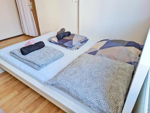 Double Room in the black Forest