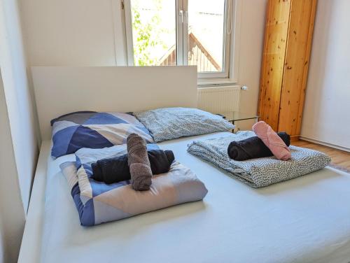 Double Room in the black Forest