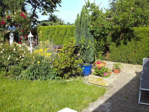 Engel Ringsheim