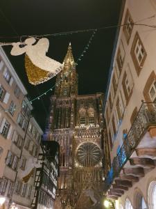 Séjour chez l'habitant Face à la cathédrale 37 Rue du Vieil-Hôpital 67000 Strasbourg Alsace