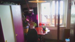 Female Single Room, Frankfurt CityCentre
