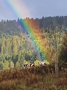 Séjour chez l'habitant Ferme des Moines les etraches ferme des moines Les Etraches 25300 Pontarlier 25300 Pontarlier Franche-Comté