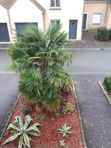 Foinnel Patricia