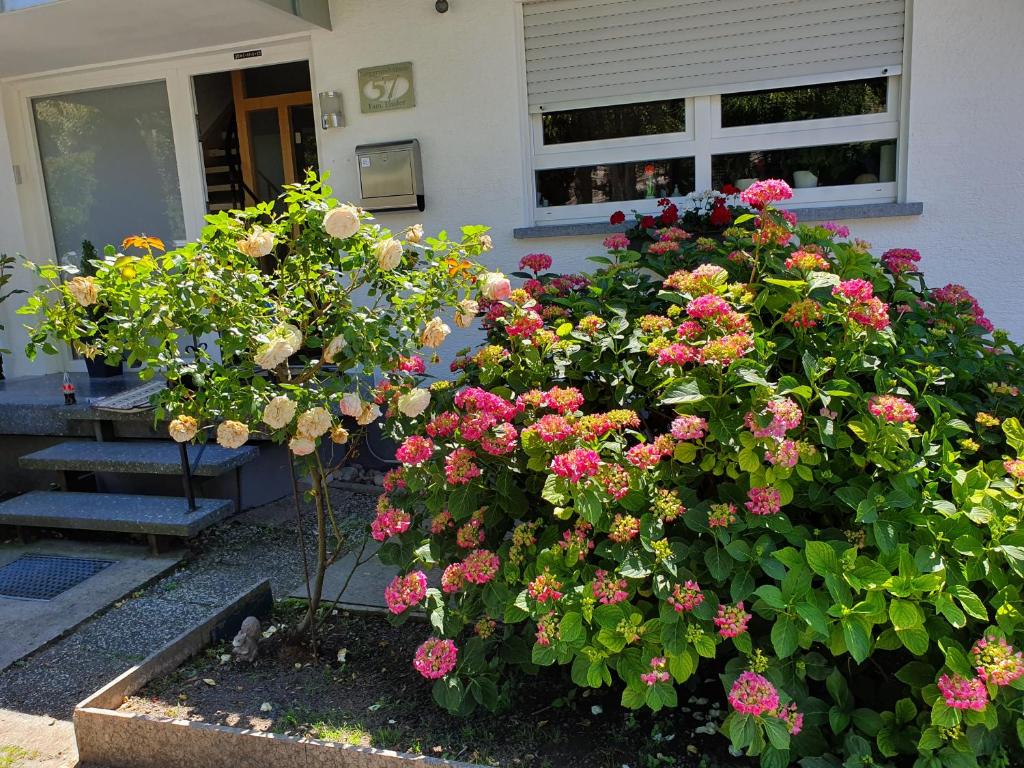 Gästehaus Eissler 57 Burggrundstraße 1.Etage, 76646 Helmsheim