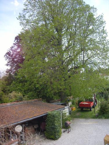 gite du vieux tilleul