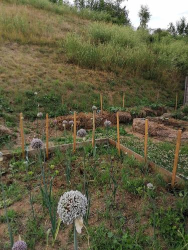 Gîte nature, ensemble partageons !