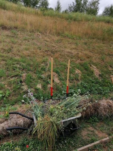 Gîte nature, ensemble partageons !
