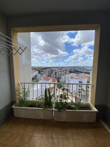 Guest House Marreiros