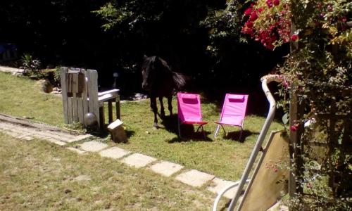 Halte equine