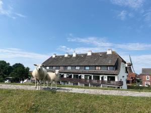Haus Lith - Fewo Strandläufer