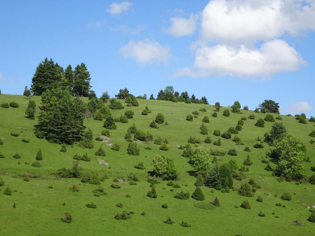 Heid-Blick Stettemer Berg 13, 72532 Gomadingen