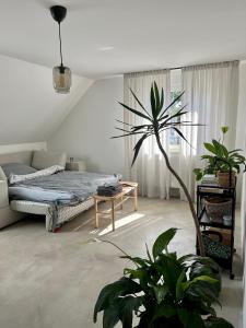 Séjour chez l'habitant Helles Privatzimmer mit perfekter Lage für Messebesucher Kalkumer Straße 40468 Düsseldorf Rhénanie du Nord - Westphalie