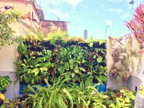 Home & Flower 3