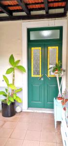 Home & Flower 3