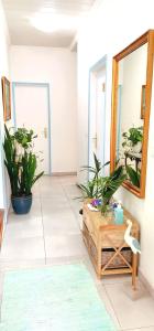 Home & Flower 3