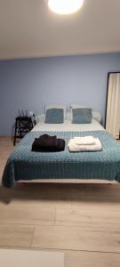 Séjour chez l'habitant HOME HOSE 276 Chemin des Chaillis 43120 Monistrol-sur-Loire Auvergne