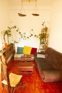 Jolie chambre dans appartement cosy en plein centre