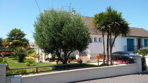L 'olivier