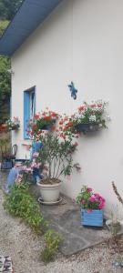 la petite maison bleue
