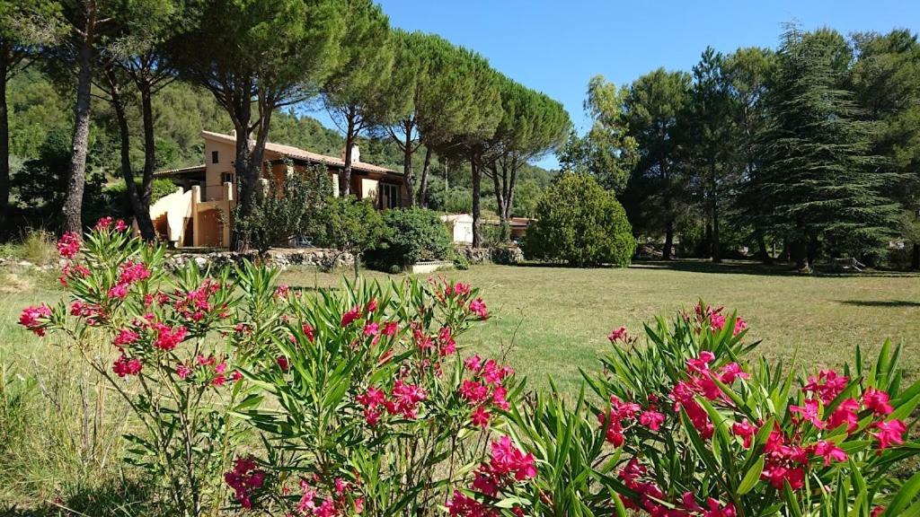 Séjour chez l'habitant Le Broussan Le Broussan 2125 Chemin de la Colle 83330 Évenos