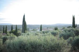 Séjour chez l'habitant Le Jardin d'Eden 262 Chemin de Pierre Blanche 83670 Tavernes Provence-Alpes-Côte d\'Azur