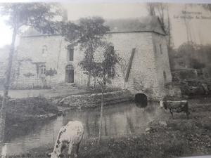 Séjour chez l'habitant LE MOULIN DE MERAL 67 Rue de la Gare 53150 Montsûrs Pays de la Loire