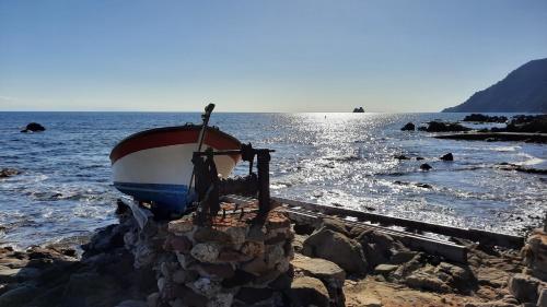 Les Bois Flottés . Plage de la Verne