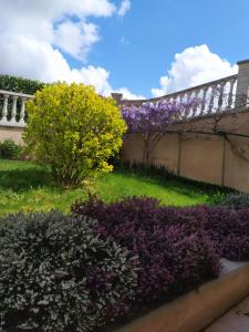 LES BRUYERES