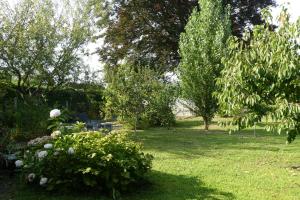 Les2 cerisiers