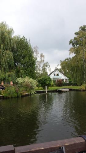 Little paradise