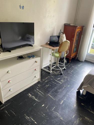 Logement spacieux avec chambre privée