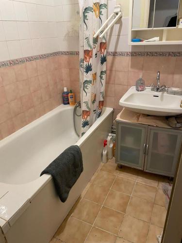Logement spacieux avec chambre privée