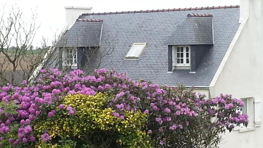 Séjour chez l'habitant LOUE CHAMBRE CHEZ L HABITANT ACCES A LA CUISINE A 10 MN DES PLAGES Penhoat 29550 Ploéven