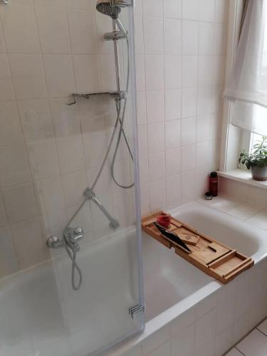 *Luxus mitten in der Innenstadt*