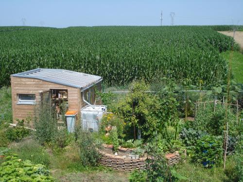 Maison calme et son jardin forêt comestible