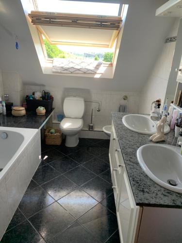 Séjour chez l'habitant Maison privée 12 rue de l’azalée 68260 Kingersheim Alsace