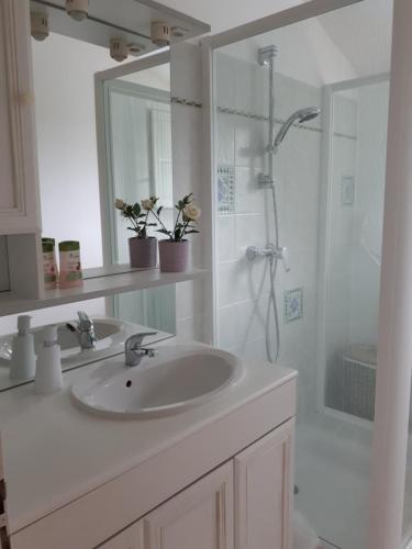 Maison ruisseau l'eau blanche